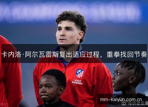 卡内洛·阿尔瓦雷斯复出适应过程，重拳找回节奏